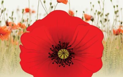 Engaging (and free!) learning resources from Veterans Affairs Canada
